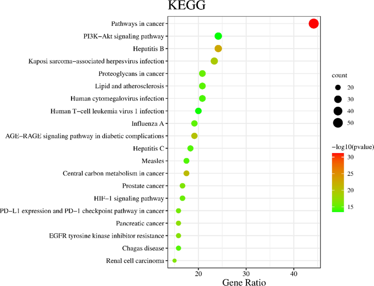 Bubble map of KEGG pathway analysis.