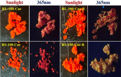 Sunlight and 365 nm images of four curcumin fluorescence complexes.