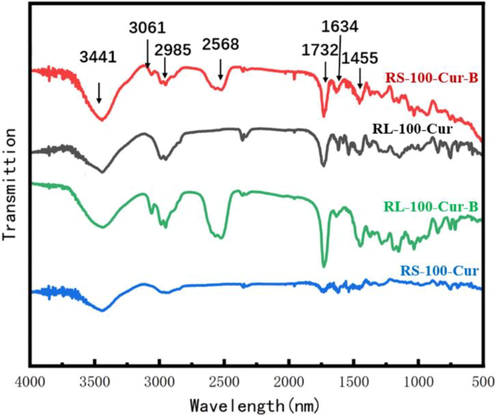 Infrared spectrum of curcumin fluorescence complexes.