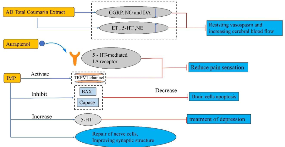 The component molecular mechanism of AD in Nerve.