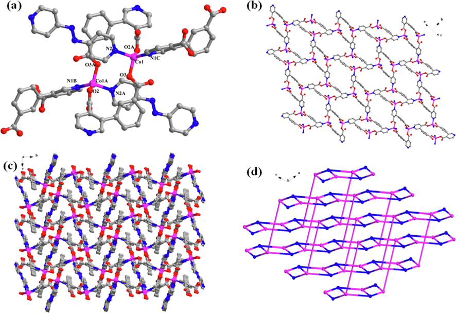 (a) Coordination environment diagram of the Co-MOF, code A: 1-X, 1-Y, 1-Z; B: 1.5-x, −0.5 + y, 0.5-z; C: −0.5 + x, 1.5-y, 0.5 + z; (b) The forming layers of the 2D network structure; (c) The 3D microporous framework in Co-MOF; (d) Simplified topology diagram.