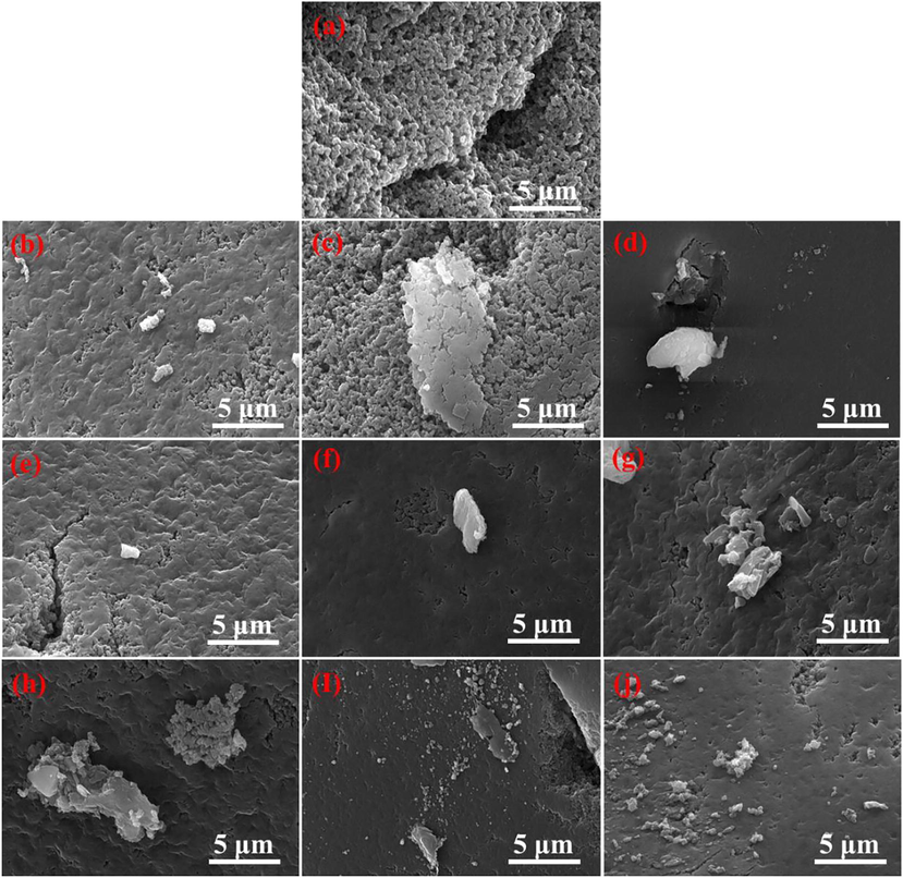 SEM images of (a) Na+-D751, (b) Cu2+-D751, (c) Cu2+/Ni2+-D751, (d) Cu2+/Zn2+-D751, (e) Cu2+-D751 after the first adsorption, (f) Cu2+/Ni2+-D751 after the first adsorption, (g) Cu2+/Zn2+-D751 after the first adsorption, (h) Cu2+-D751 after the first desorption, (i) Cu2+/Ni2+-D751 after the first desorption, (j) Cu2+/Zn2+-D751 after the first desorption.