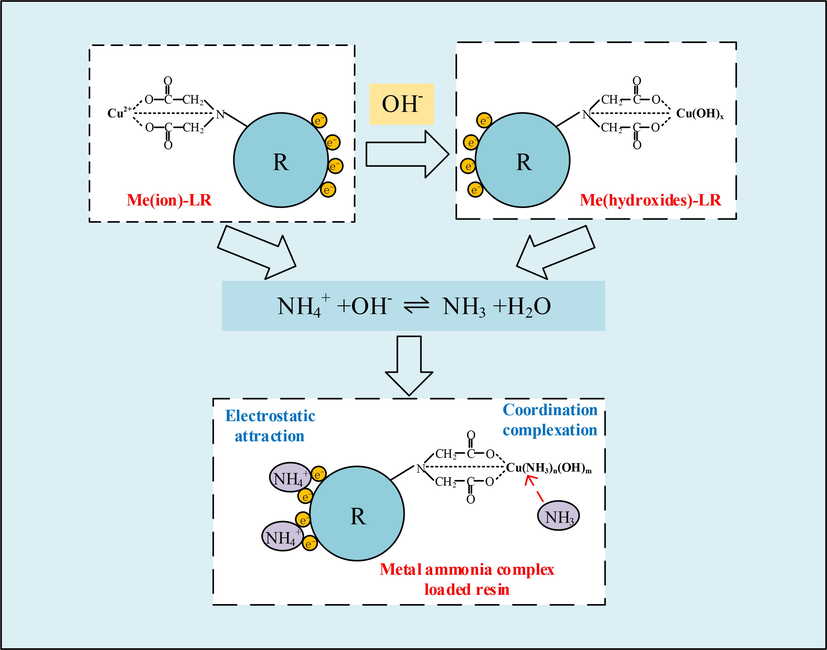 The adsorption pathway for ammonia in solution in the metal ion/metal hydroxide loaded resin.