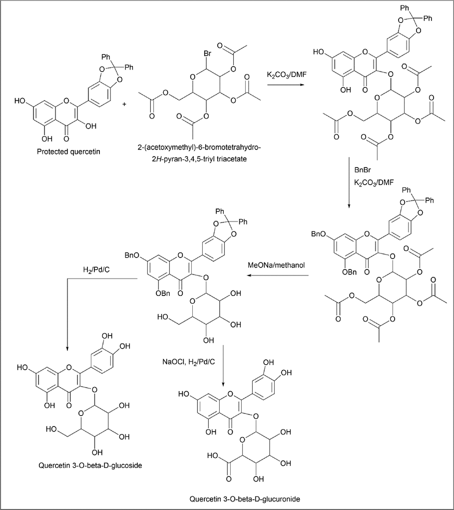 Synthesis of Quercetin 3-O-β-D-glucoside and Quercetin 3-O-β-D-glucuronide.