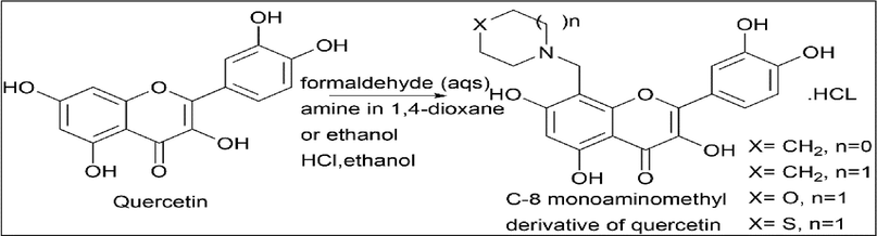 Synthesis of C-8 monoaminomethyl derivative of Quercetin.