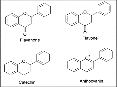 General structure of four main class of flavonoids.