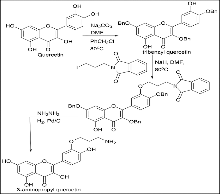 Synthesis of 3-aminopropyl quercetin.