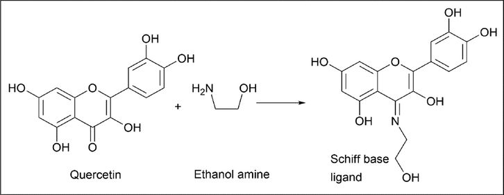 Synthesis of Schiff base ligand from Quercetin.