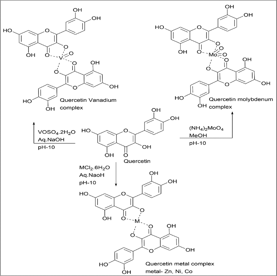 Synthesis of Quercetin vanadium, molybdenum, and other metal complex.