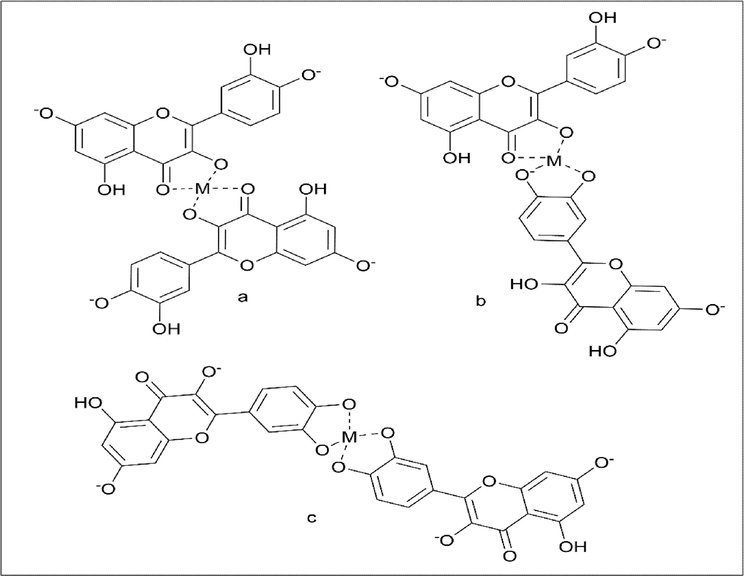 Synthesis of Iron quercetin metal complex with different attachment.