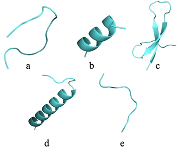 Three-dimensional structure of native peptides obtained by cleavage of TTIp 56/287. a: Pep1 - Peptide obtained by cleavage with pepsin. b: Pep2 - Peptide obtained by cleavage with pepsin. c: Tryp1 - Peptide obtained by cleavage with trypsin. d: Tryp2 - Peptide obtained by cleavage with trypsin. e: Chym1 - Peptide obtained by cleavage with chymotrypsin. TTIp 56/287: trypsin inhibitor purified from tamarind seeds (TTIp), model number 56, in conformation number 287.