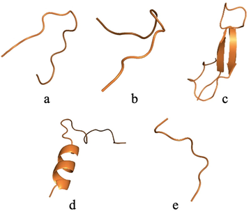 Three-dimensional structure of analogous peptides obtained by cleavage of TTIp 56/287. a: ID 32 – Peptide analogue to Pep1. b: ID 76 - Peptide analogue to Pep2. c: ID 63 - Peptide analogue to Tryp1. d: ID 336 - Peptide analogue to Tryp2. e: ID 101 - Peptide analogue to Chym1. TTIp 56/287: trypsin inhibitor purified from tamarind seeds (TTIp), model number 56, in conformation number 287.