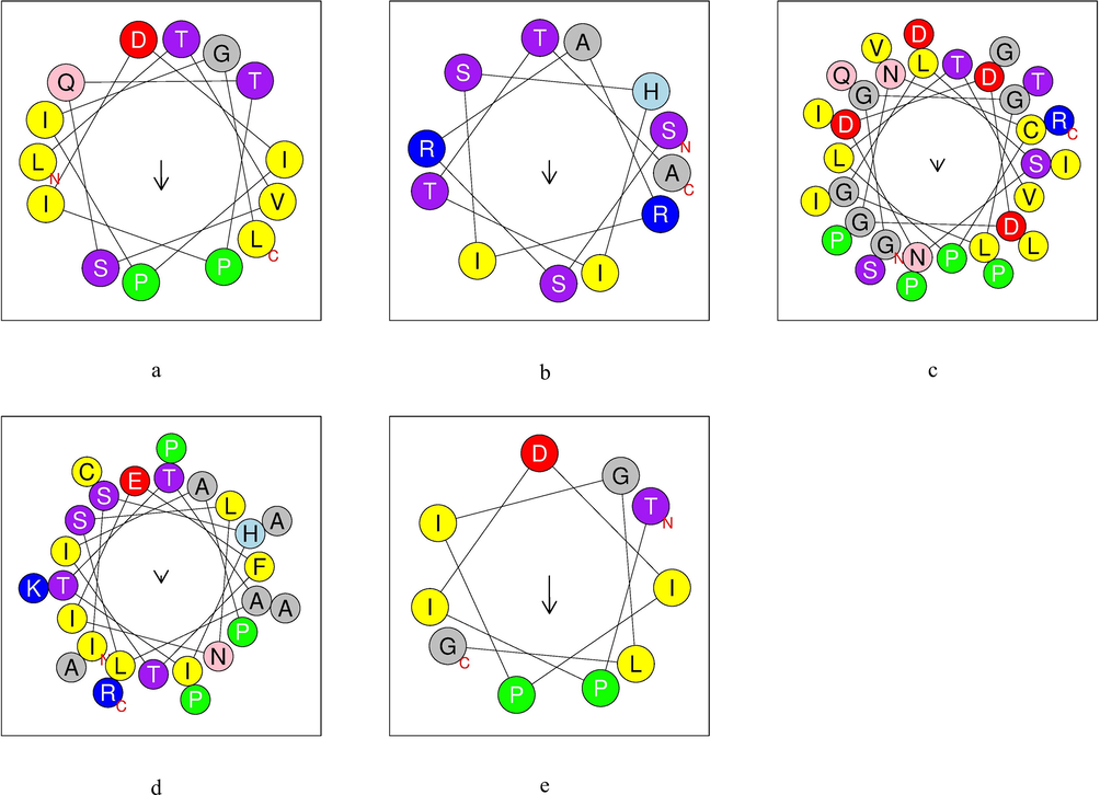 α-helix structure of native peptides obtained by cleavage of TTIp 56/287. a: Pep1 – Peptide obtained by cleavage with pepsin; b: Pep2 – Peptide obtained by cleavage with pepsin; c: Tryp1 – Peptide obtained by cleavage with trypsin; d: Tryp2 – Peptide obtained by cleavage with trypsin; e: Chym1 – Peptide obtained by cleavage with chymotrypsin; Yellow – hydrophobic residues; purple – serine and threonine residues; dark blue – basic residues; red – acid residues; pink – asparagine and glutamine residues; gray – alanine and glycine residues; light blue – histidine residues; green – proline residues. TTIp 56/287: trypsin inhibitor purified from tamarind seeds (TTIp), model number 56, in conformation number 287.