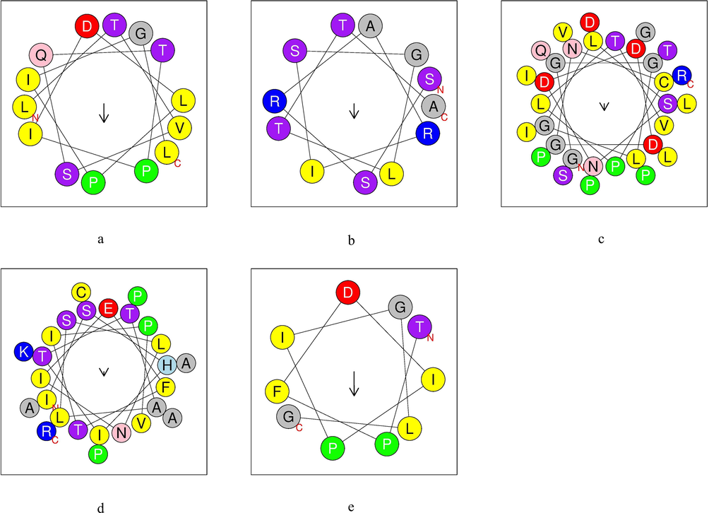 α-helix structure of analogous peptides obtained by cleavage of TTIp 56/287. a: ID 32 – Peptide analogue to Pep1; b: ID 76 – Peptide analogue to Pep2; c: ID 63 – Peptide analogue to Tryp1; d: ID 336 – Peptide analogue to Tryp2; e: ID 101 – Peptide analogue to Chym1. Yellow – hydrophobic residues; purple – serine and threonine residues; dark blue – basic residues; red – acid residues; pink – asparagine and glutamine residues; gray – alanine and glycine residues; light blue – histidine residues; green – proline residues. TTIp 56/287: trypsin inhibitor purified from tamarind seeds (TTIp), model number 56, in conformation number 287.