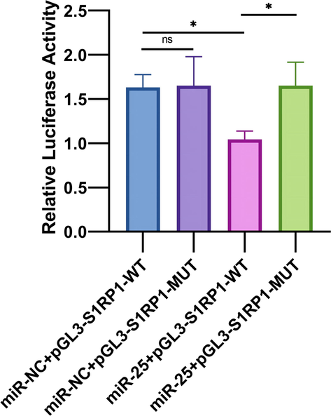 The dual-luciferase assay demonstrated the existence of direct interaction between miR-25 and S1PR1, * P < 0.05.