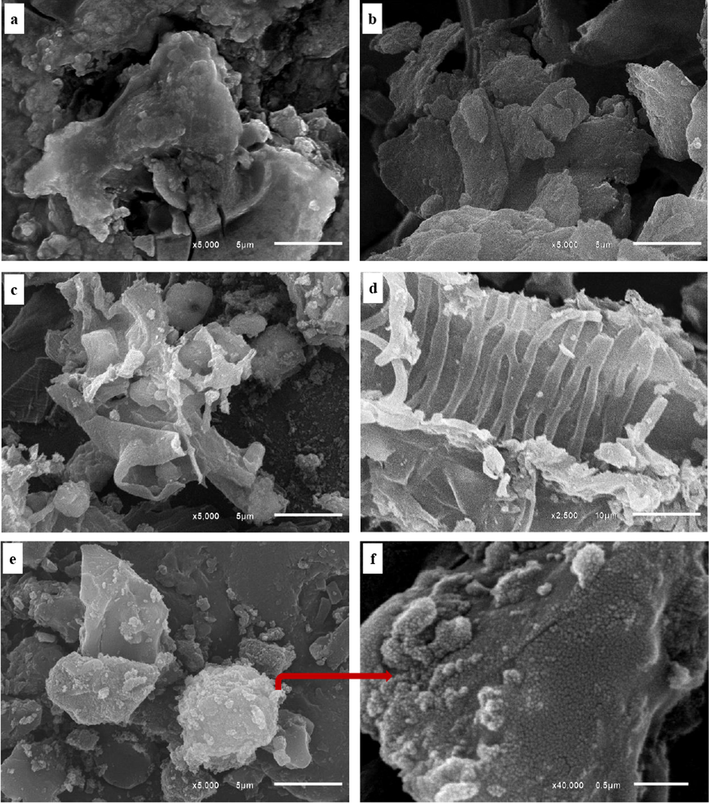 SEM images with different magnifications showing: (a-b) LSB with nodular crenulation as a reflection of rough surface; (c) AC (0.5:1) with rough surface and agglomerated spherical-like nanoparticles; (d) Survived texture of the LSB after acid activation to prepare AC (0.5:1) as a sign of in-complete activation; (e-f) Spherical-like nanoparticles of AC (1:1).