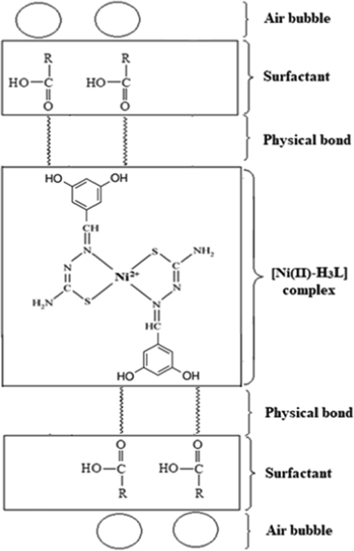 The suggested flotation-separation mechanism of Ni(II) using H3L at pH 5.