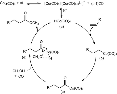 Proposed catalytic mechanism for methoxycarbonylation of diisobutylene.