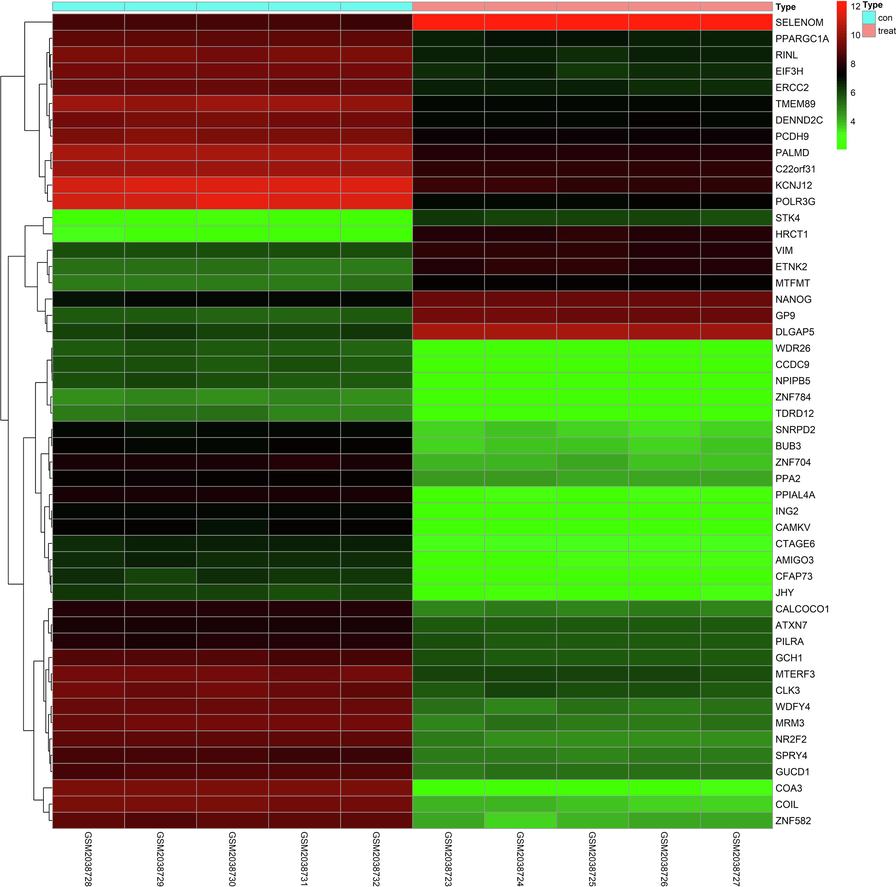 Mrna expression profile heatmap (top 50). It was the visualize heat maps for the differentially expressed mRNA parts. (Con: plasma of controls; treat: plasma of hypotharyngeal cancerpatients; abscissa: sample ID; ordinate: gene symbol).