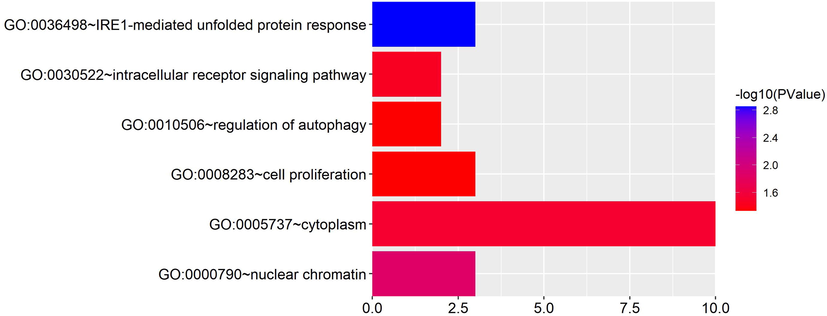 The visualization of GO enrichment analysis for target genes. GO enrichment analysis of the target genes in the ceRNA network indicated that the target genes were enriched into six different GO subsets, including two aspects of biological process (BP) and cell components (CC) with statistical significance, such as the unfolded protein response mediated by IRE1, intracellular receptor signaling pathway, cell proliferation, regulation of autophagy, nuclear chromatin, cytoplasm. (Abscissa: number of genes; ordinate: GO Term).