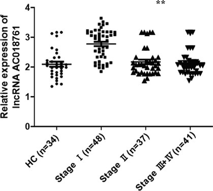 The qRT-PCR result of lncRNA-AC018761 expression levels. The qRT-PCR experiments were conducted, the result demonstrated that the expression of lncRNA-AC018761 in patients (Stage Ⅰ) was significantly higher than the control group (P < 0.01), even patients (Stage Ⅱ and III + IV) (P < 0.01). But, its expression levels in patients (Stage Ⅱ and III + IV) was slightly higher than the healthy control (HC) group (P > 0.05).