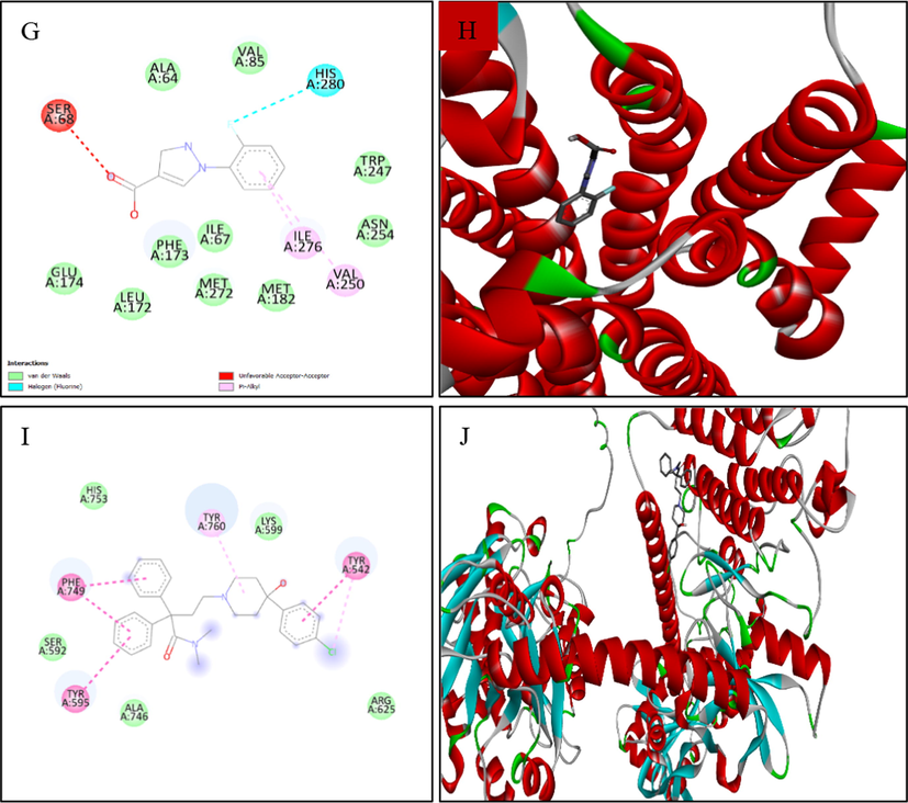 Docking analysis of (A, B) 2D and 3D view of 1-(2-fluorophenyl)-1H-pyrazole-4-carboxylic acid: Best binding affinity with CFTR; (C, D) 2D and 3D view of 1-(2-fluorophenyl)-1H-pyrazole-4-carboxylic acid: Best binding affinity with Calcium-activated chloride channel (E, F) 2D and 3D view of 1-(2-fluorophenyl)-1H-pyrazole-4-carboxylic acid: Best binding affinity with GC-C receptor; (G, F) 2D and 3D view of 1-(2-fluorophenyl)-1H-pyrazole-4-carboxylic acid: Best binding affinity with A2B receptor and (I, J) 2D and 3D view of Loperamide: Best binding affinity with GC-C receptor.