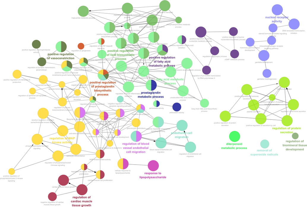 The network plot shows biological processes of GO enrichment analysis (Each node indicates the enriched GO function term, the more significant the p-value is, the larger the node is; different colors represent different functional groups, the bold font is treated as the functional representation, and the line between nodes means the correlation among functions, and the diamond arrow refers to the regulatory effect, the triangular arrow shows the positive regulation).