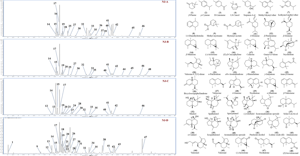 Total ion chromatograms of EONJs and the chemical structures of forty-eight ingredients identified by GC–MS.