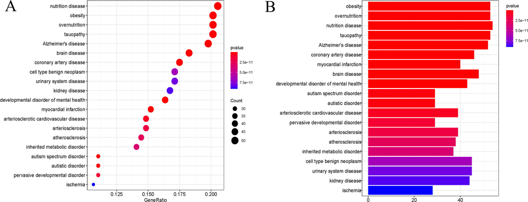 The bubble diagram and bar chart on the top 20 significantly enriched Disease Ontology (DO) terms (A) Bubble diagram; (B) Bar chart (DO terms with corrected p-value < 0.05 were considered significantly enriched; GeneRatio of the x-axis represents the ratio of targets in the background terms; Bubble size represents the number of genes enriched; Bubble color represents p-value).