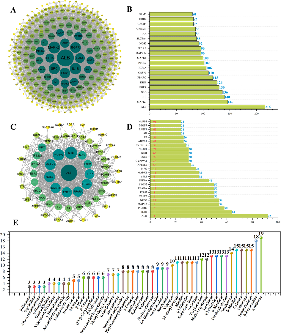 The screening of core targets and bioactive phytochemicals. (A) The PPI network of 319 targets associated with 48 phytochemicals of EONJ; (B) The top 20 targets ranked by degree value were identified as the core targets related to EONJ; (C) The PPI network of 63 common targets between EONJ and CVD; (D) The top 25 targets ranked by degree value were classified as the core targets related to EONJ and CVD; (E) The vertical drop line diagram on 48 ingredients of EONJ and the numbers of their targets associated with CVD.