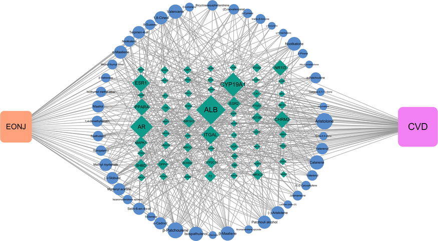 'EONJ-ingredients-targets-CVD' network.