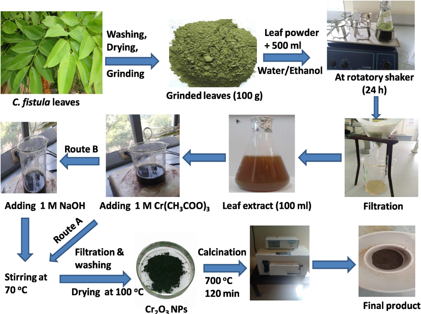 Preparation of aqueous/ethanolic leaves extracts of C. fistula leaves and their use in the bio-syntheses of chromium oxide NPs; the route A was used to produce (Cr2O3)aq and (Cr2O3)et NPs (in the absence of NaOH) whereas (Cr2O3)aqNa and (Cr2O3)etNa NPs were formed through route B (in the presence of NaOH).