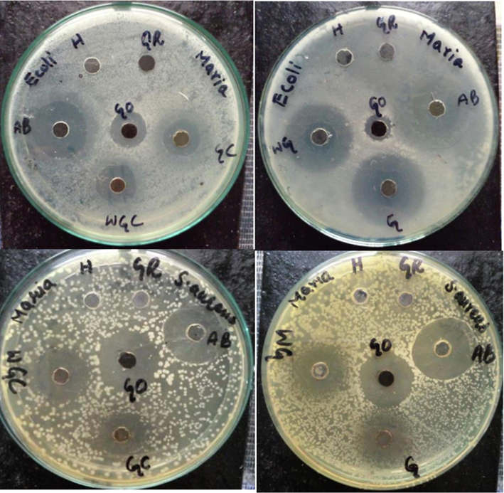 Antibacterial activity of uncalcined and calcined SNC and GO-SNC; H = -ve control (solvent), AB=+ve control (Antibiotic), GO = graphene oxide, G = GO-SNC, WG = SNC, GC = calcined GO-SNC, and WGC = calcined SNC.