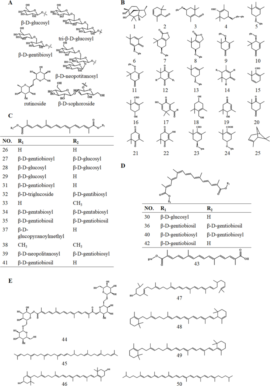 Conjugated glycosyl structure (A) and Chemical Structures of terpenoids (B: sesquiterpenoids and monoterpenoids; C: trans-diterpenoid; D: cis-diterpenoid; E: tetraterpenoids).