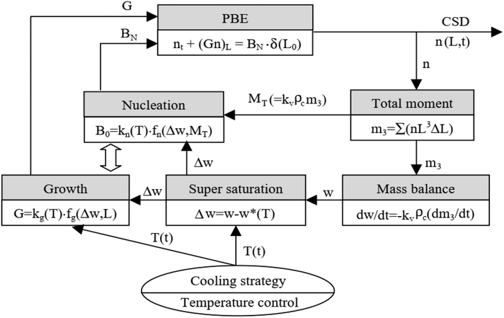 Schematic illustration of CSD determination in the batch crystallization process. Reprinted from (Lim, 2002) with permission from Elsevier.