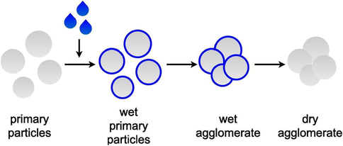 Schematic demonstration of major steps of agglomeration including wetting, collision and drying. Reprinted from (Otto, 2021) with permission from Elsevier.