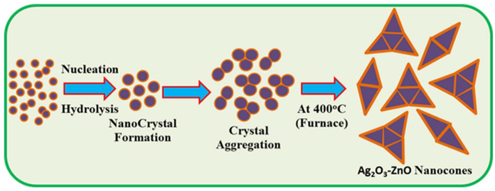 Schematic demonstration of crystal growth mechanism of doped Ag2O3-ZnO NCs generated via wet-chemical process. Reprinted from (Rahman, 2014).