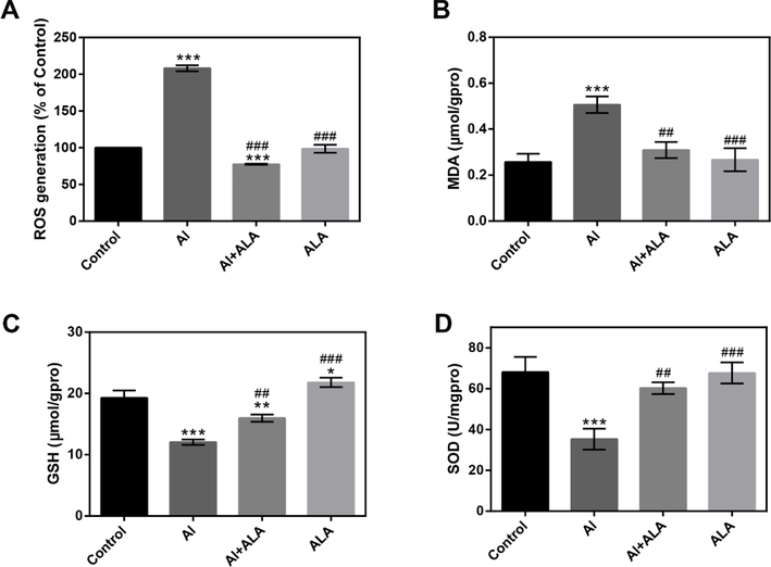 Biochemical index analysis. Effects of Al and ALA on oxidative stress. (A) ROS level. (B) MDA activity, (C) GSH level and (D) SOD activity. The data obtained from three individual experiments were collected shown as mean ± SD. *P < 0.05, **P < 0.01, ***P < 0.001 compared with the control group. #P < 0.05, ##P < 0.01, ###P < 0.001 compared with Al group.