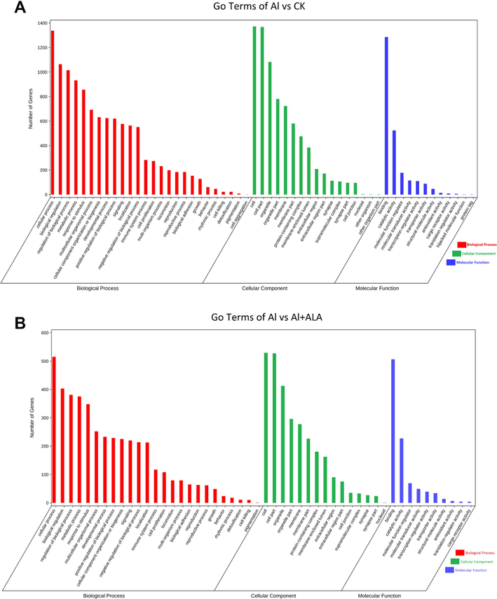 GO functional classification analysis of DEGs. (A-B) GO term between the control vs Al group, and between the Al vs Al + ALA group.