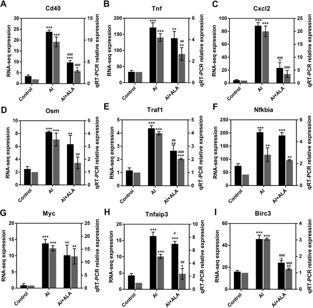 qRT-PCR analysis for the validation of RNA-seq data. Random 9 DEGs (Cd40, Tnf, Cxcl2, Osm, Traf1, Nfkbia, Myc, Tnfaip3, Birc3) were selected. Data obtained from three individual experiments was displayed as mean ± SD. **P < 0.01, ***P < 0.001 vs. control group. ##P < 0.01, ###P < 0.001 vs. Al group.