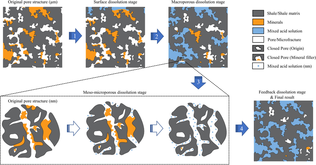 The action process of mixed acid on shale pores.