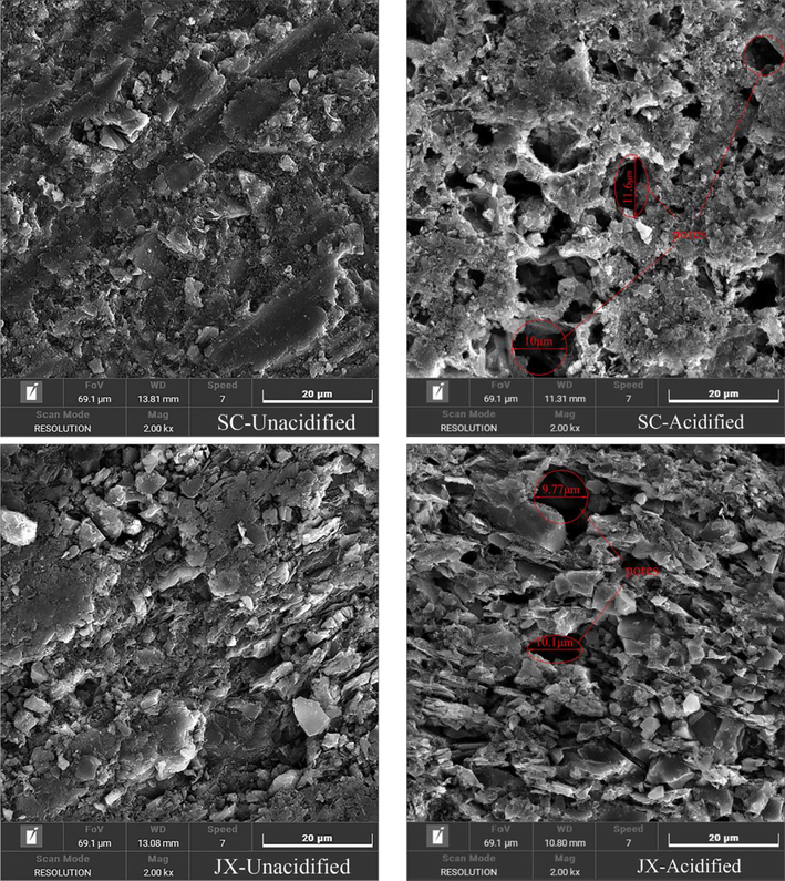 SEM images of samples.