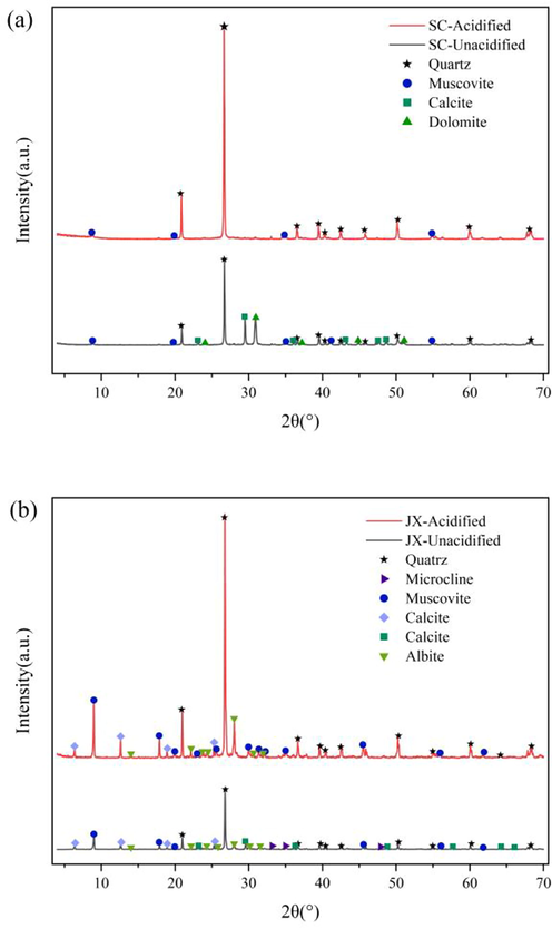 XRD patterns of samples. (a) SC samples. (b) JX samples.