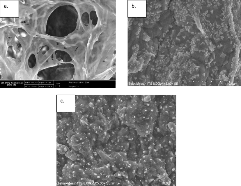 Morphological structure of a) cross-section SA-PVA-B beads and b) immobilized mixed culture before decolorization c) immobilized mixed culture after decolorization.