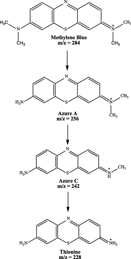 Proposed MB degradation pathway by immobilized mixed culture of T. viride and R. pickettii.