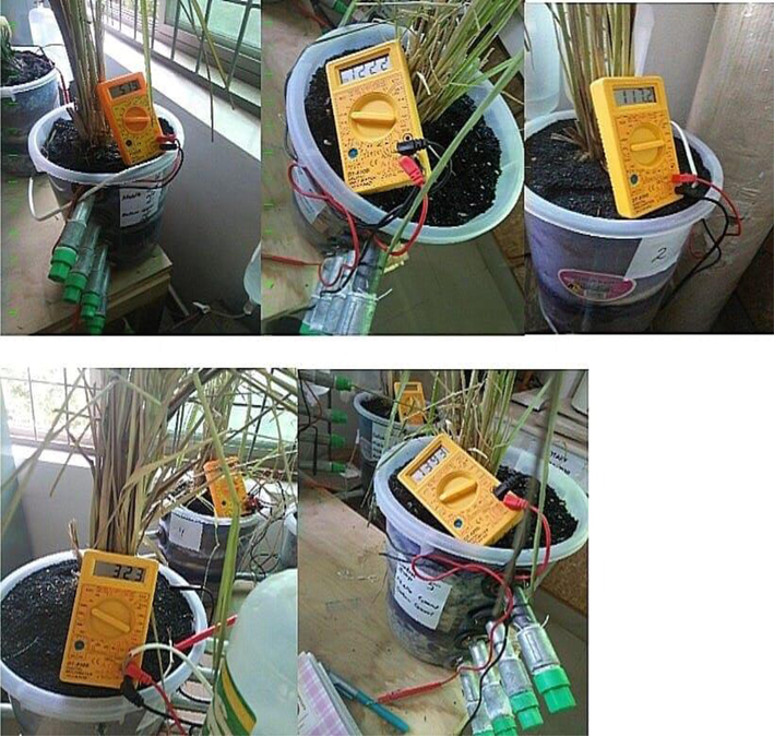 Maximum average voltage output of five different configurations of CW-MFCs.