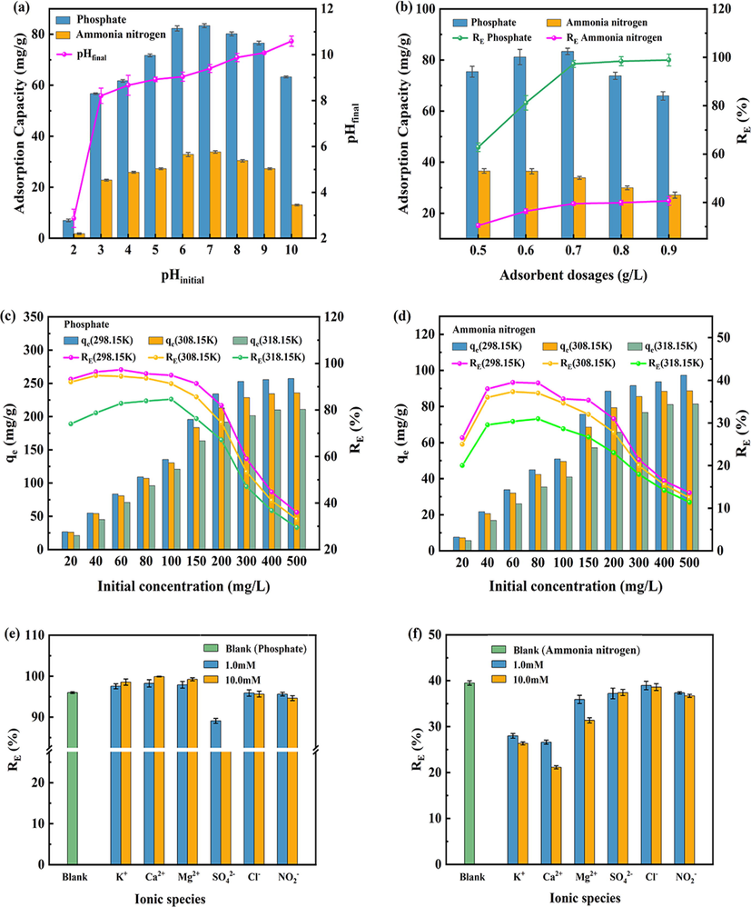 Effect of pHinitial value (a), adsorbent dosages (b), initial concentration (c,d), and coexisting ions (e,f) on the adsorption of phosphate and ammonia nitrogen removal.