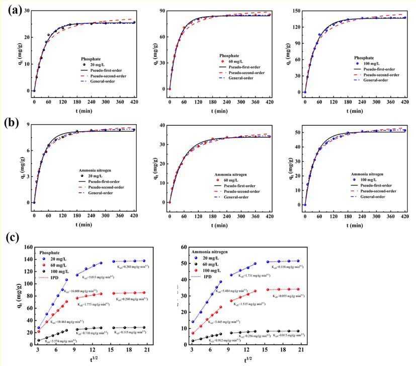 (a) Adsorption kinetics of phosphate by 400CMBA. (b)Adsorption kinetics of ammonia nitrogen by 400CMBA. (c) Intraparticle diffusion model of phosphate and ammonia nitrogen by 400CMBA. Condition: Initial pH of 7.0, 0.7 g/L adsorbent dosage, 25 °C.