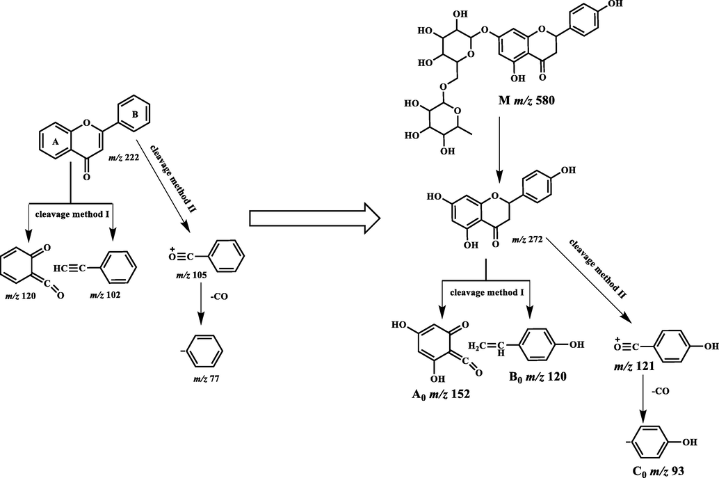 Cleavage of core structure of flavonoids and Narirutin.