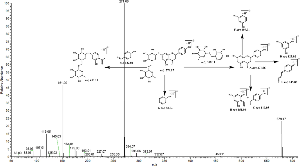 Secondary mass spectrum and cleavage rule in negative mode.